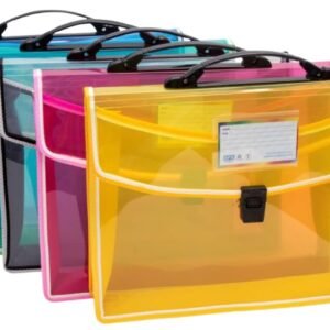 SPS Envelope Folder with Carrying Handle, Transparent Poly-Plastic A4/Foolscap Documents File Storage Bag with Buckle Closure, Set of 5 (Assorted - with Carrying Handle)